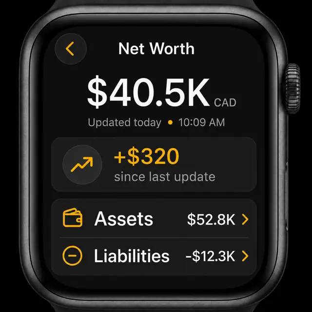 Net worth screen